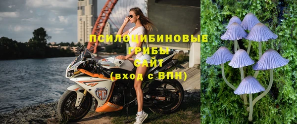 spice Надым