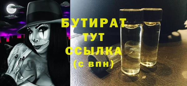 шишки Коряжма