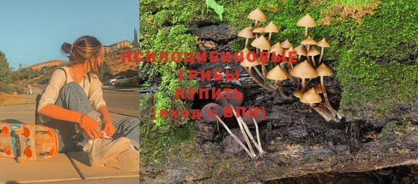 шишки Нефтегорск