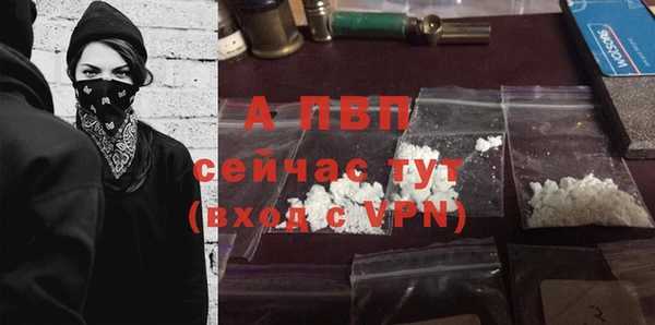 шишки Нефтекумск