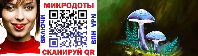 Псилоцибиновые грибы Magic Shrooms  Черногорск 