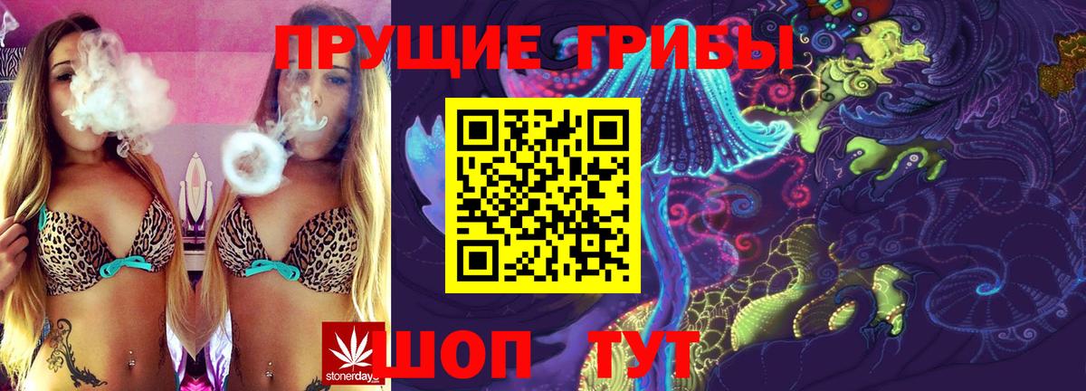 Галлюциногенные грибы прущие грибы  Галлюциногенные грибы GOLDEN TEACHER  Вход с VPN  Черногорск 