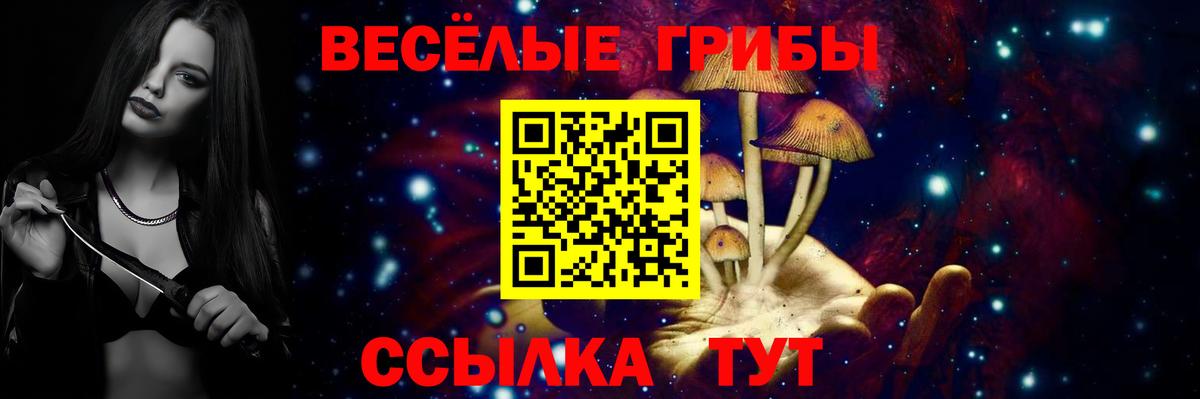 Галлюциногенные грибы ЛСД Черногорск